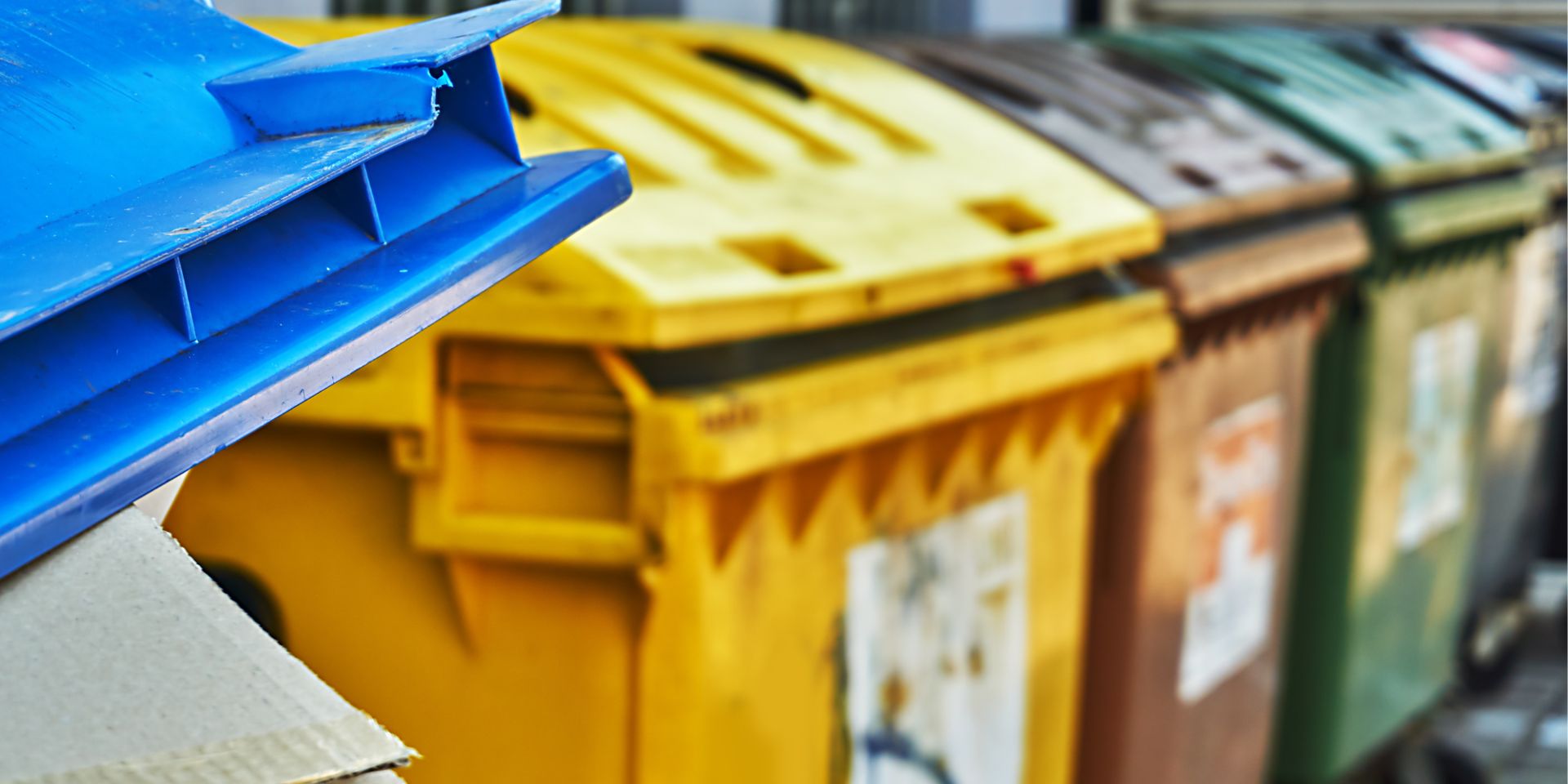 Trash and recycling bins